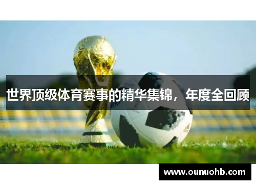 世界顶级体育赛事的精华集锦，年度全回顾