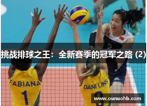 挑战排球之王：全新赛季的冠军之路 (2)